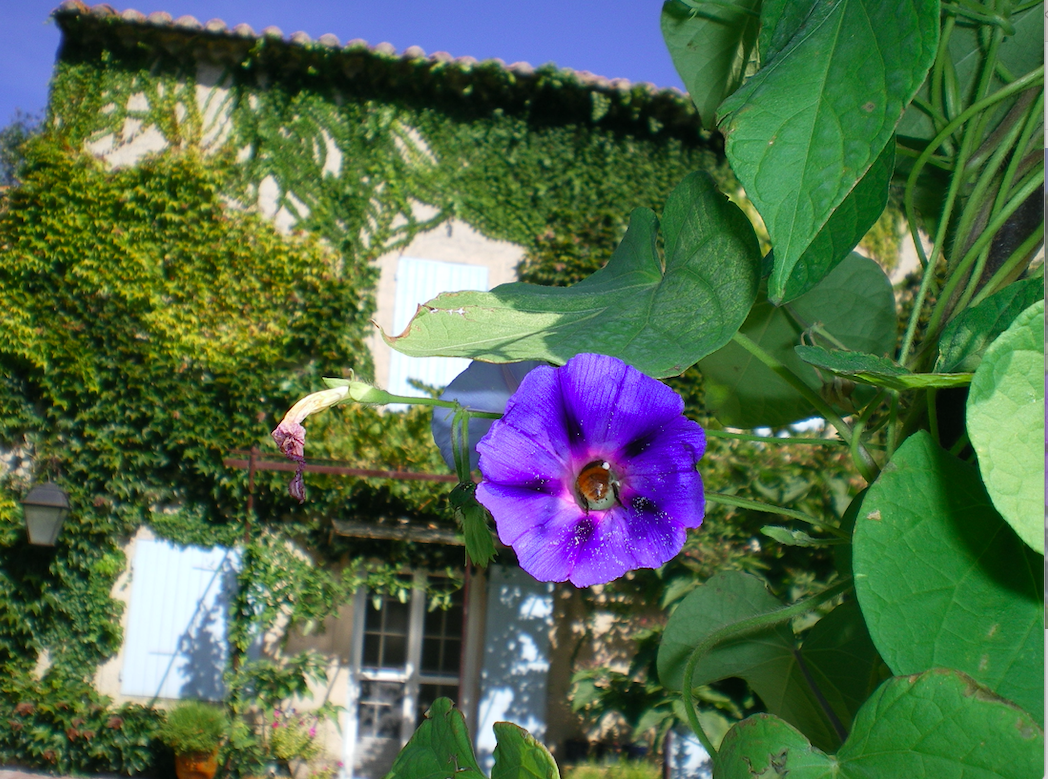 Capture d’écran 2026-02-16 à 17.16.11.png