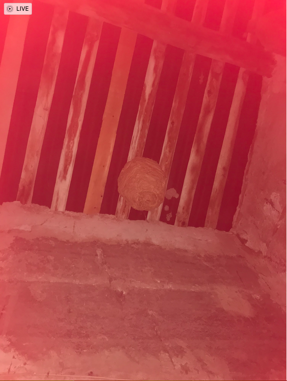 Capture d’écran 2026-02-20 à 09.10.57.png