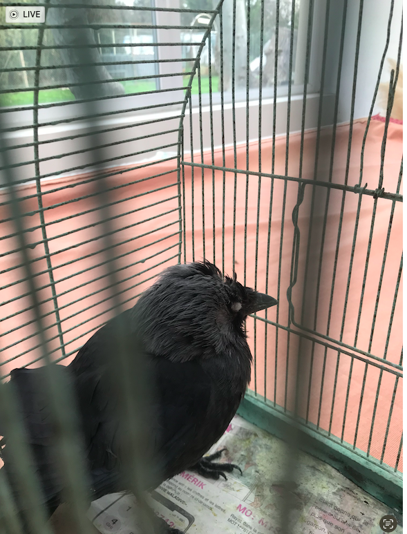 Capture d’écran 2026-02-28 à 10.21.45.png