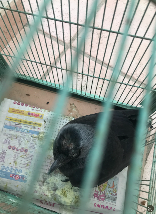 Capture d’écran 2026-02-28 à 10.15.32.png