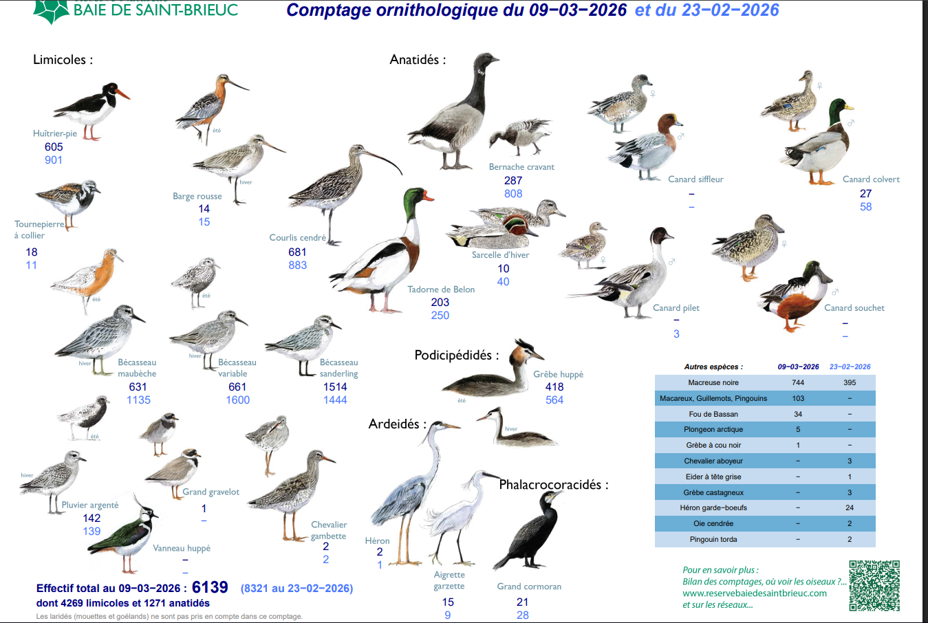 Comptage fond de baie d'Yffinac.png