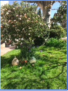 Capture d’écran 2026-03-27 à 09.43.25.png