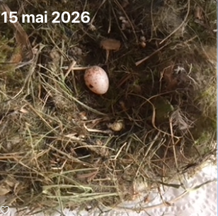 Capture d’écran 2026-05-15 à 18.54.40.png