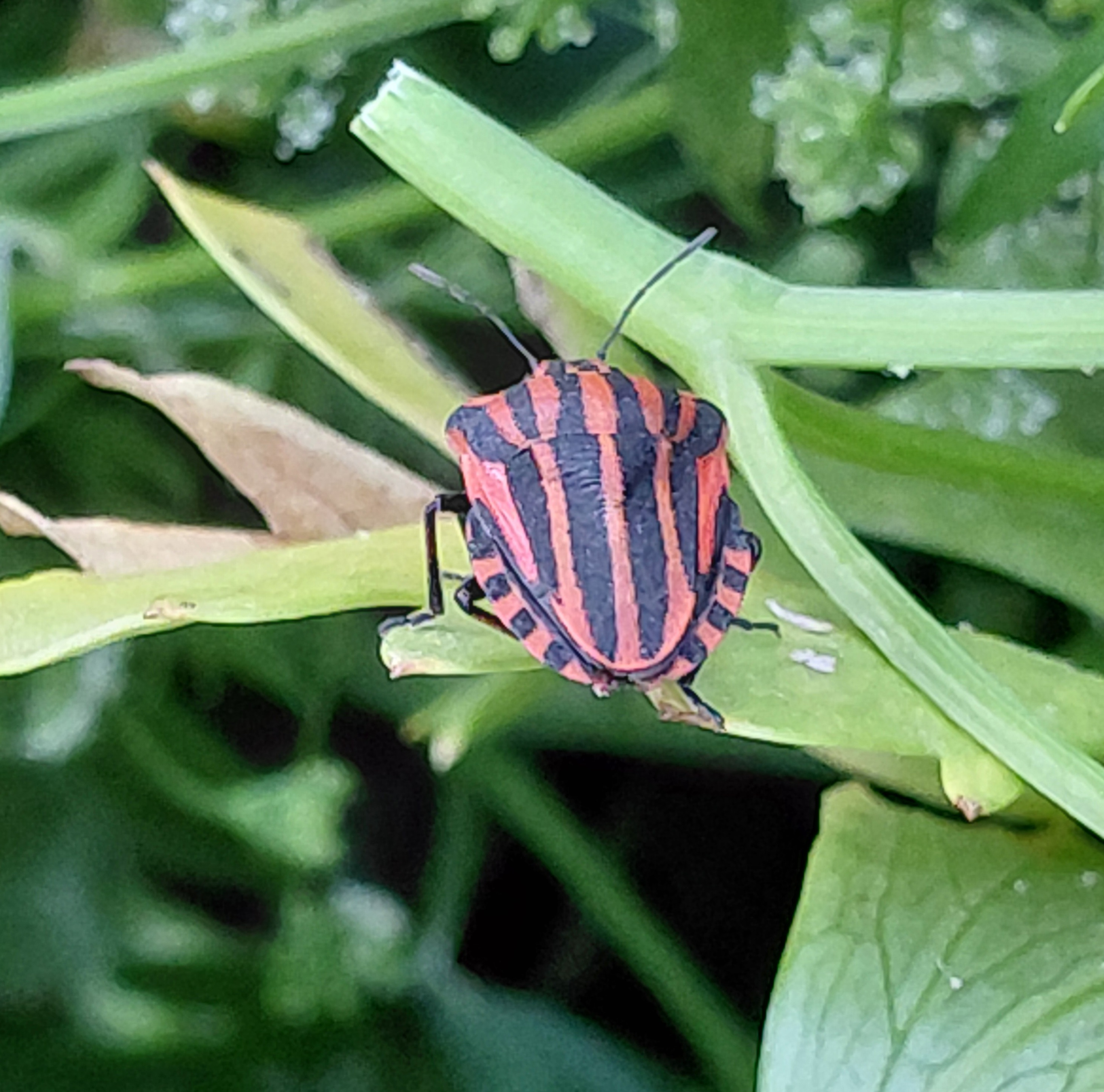 20260623_212123.jpg