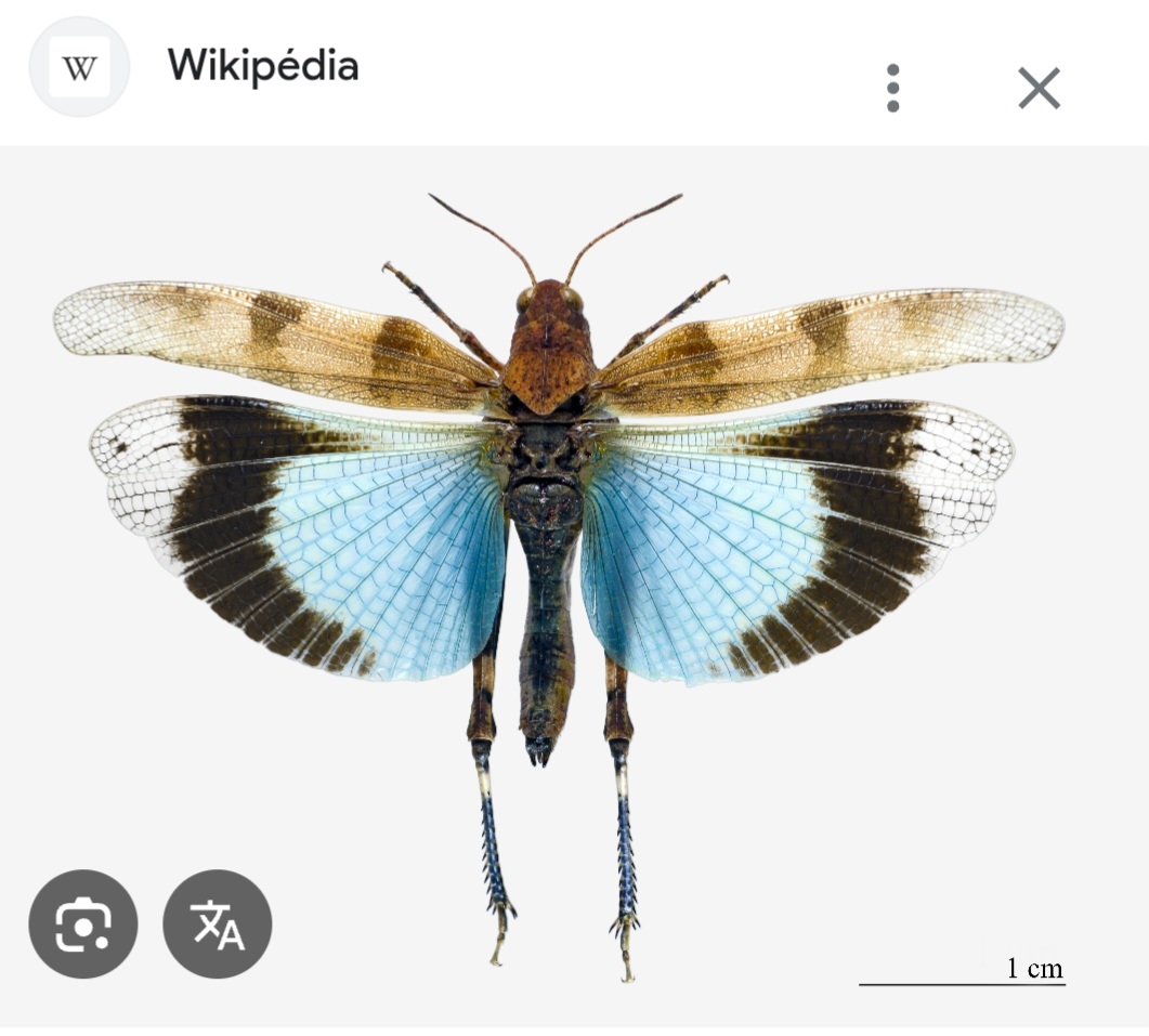 Screenshot_20260630_212801_Google.jpg